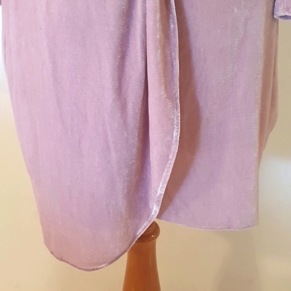 Alice in the Eve Size L (Approx 14) Soft Pink Velvet Feel Dress - Picture 4 of 8